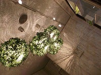 機能効率とデザインの両立をレイアウト