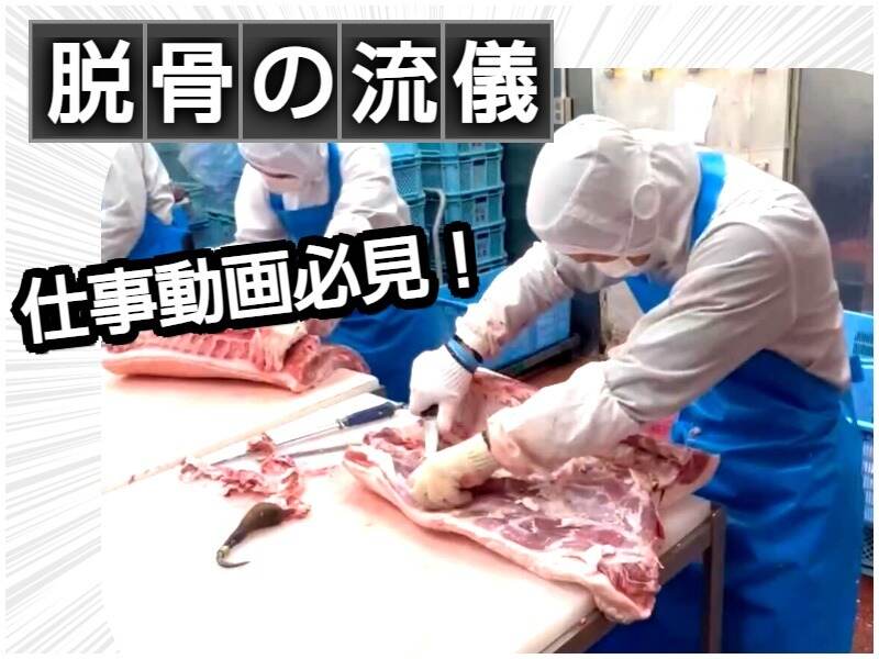 ほとんどの方が未経験からのスタートです！