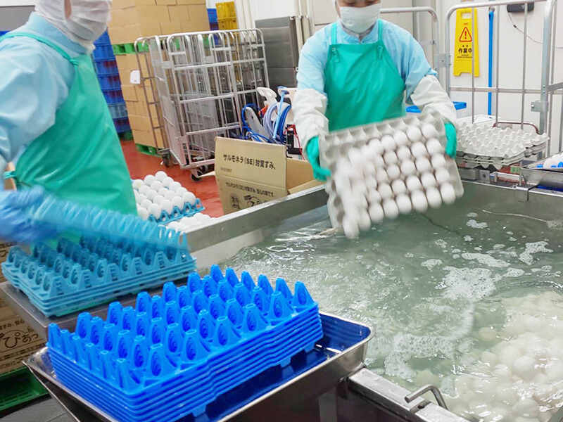 卵の製造をお願いします