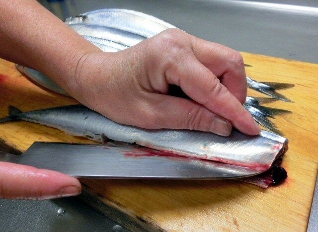 【魚の知識不問！】未経験・ブランク歓迎