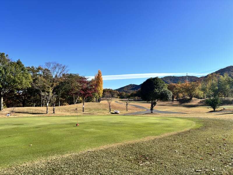 主ふさん活躍中！