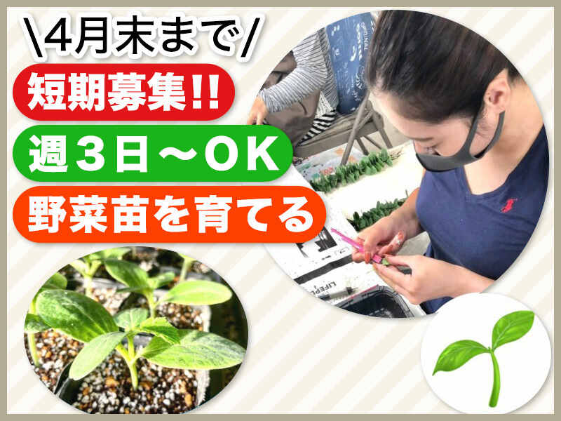 苗と苗をくっつける