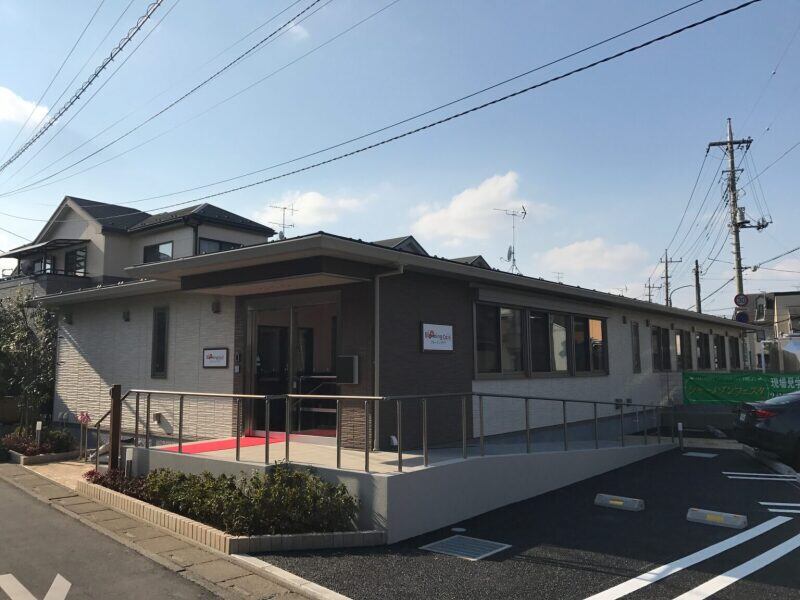 Hasu