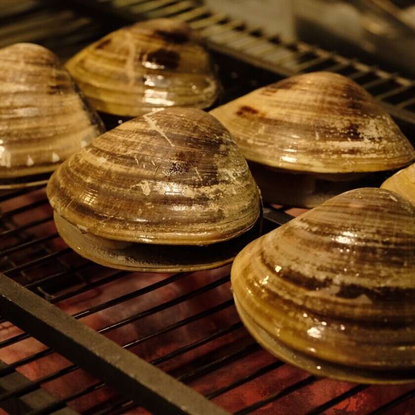 2fcde9ac a6f9 4676 b8b5 085cc73a810f