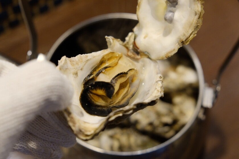 C73a088d 6da5 4fde 9245 3713615fe755