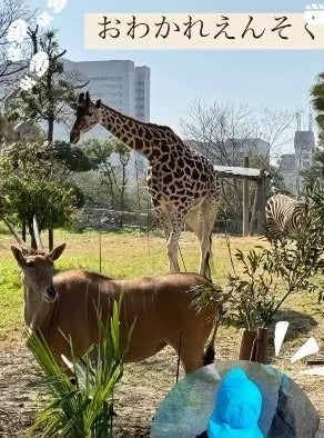 Kyuhouji keisaikyoka 250828 8