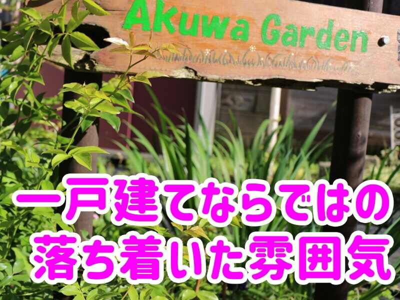 Dsakuwa1383