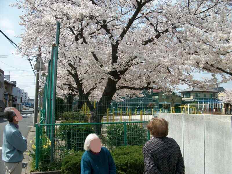 お散歩している風景です♪