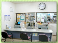 Midori2
