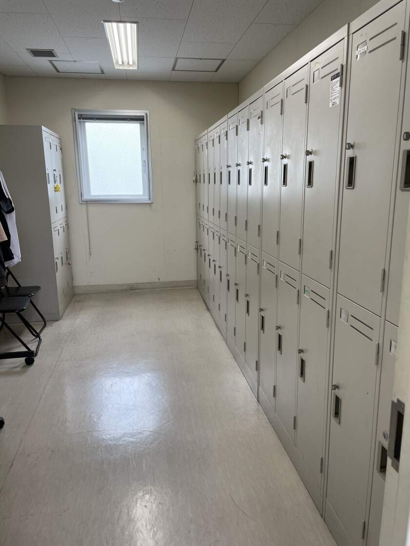 D6e6b019 dc7c 4ee5 bb4d f7bdafea3788