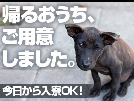 今日からぜんぶ面倒みます。