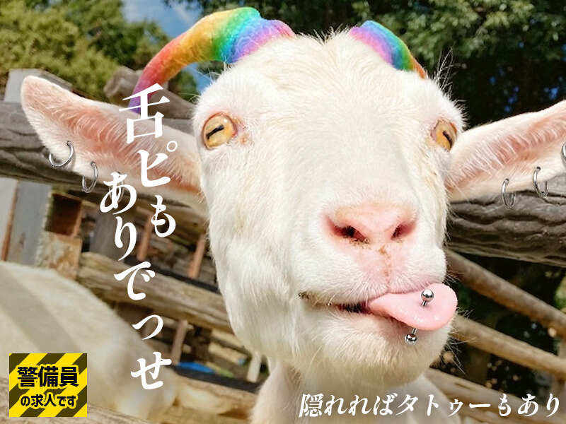 困ったときは、いつでも声かけてください