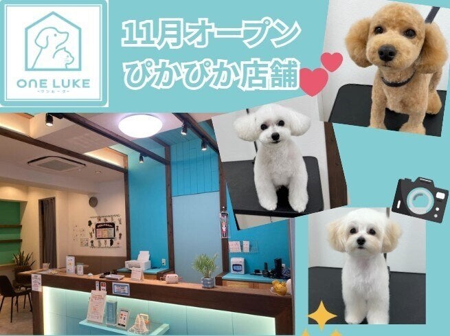 11月オープンのぴかぴか店舗